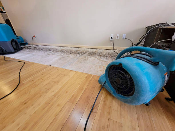 Professional Sewage Cleanup technician working in Olivia, MN